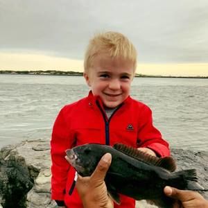 Meet your Posher, Dan